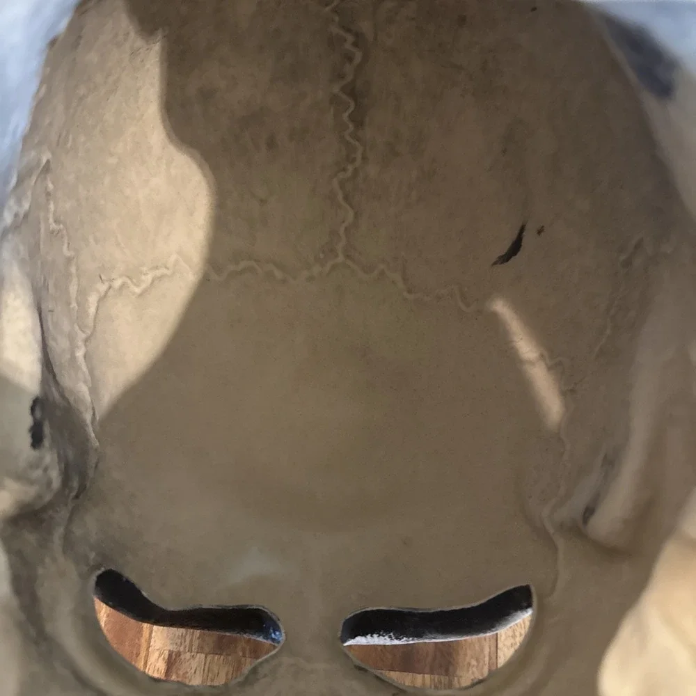 Halloween III Season Of The Witch Silver Shamrock Justin Mabry Skull Mask NWT